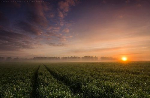 Spring field