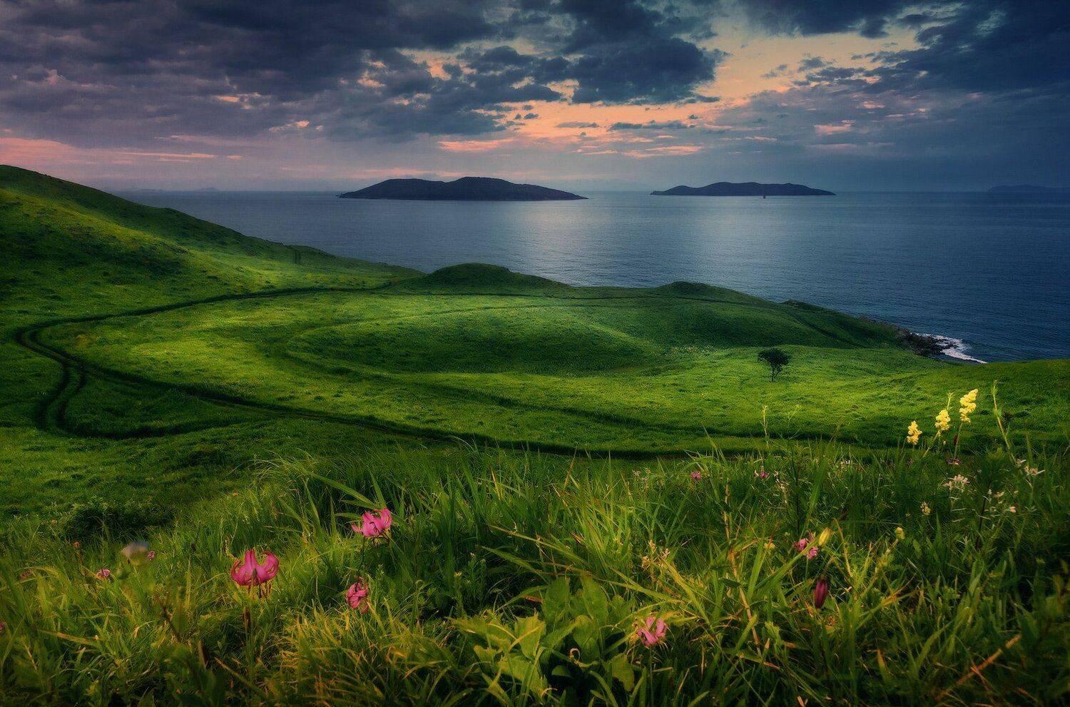 , Андрей Кровлин