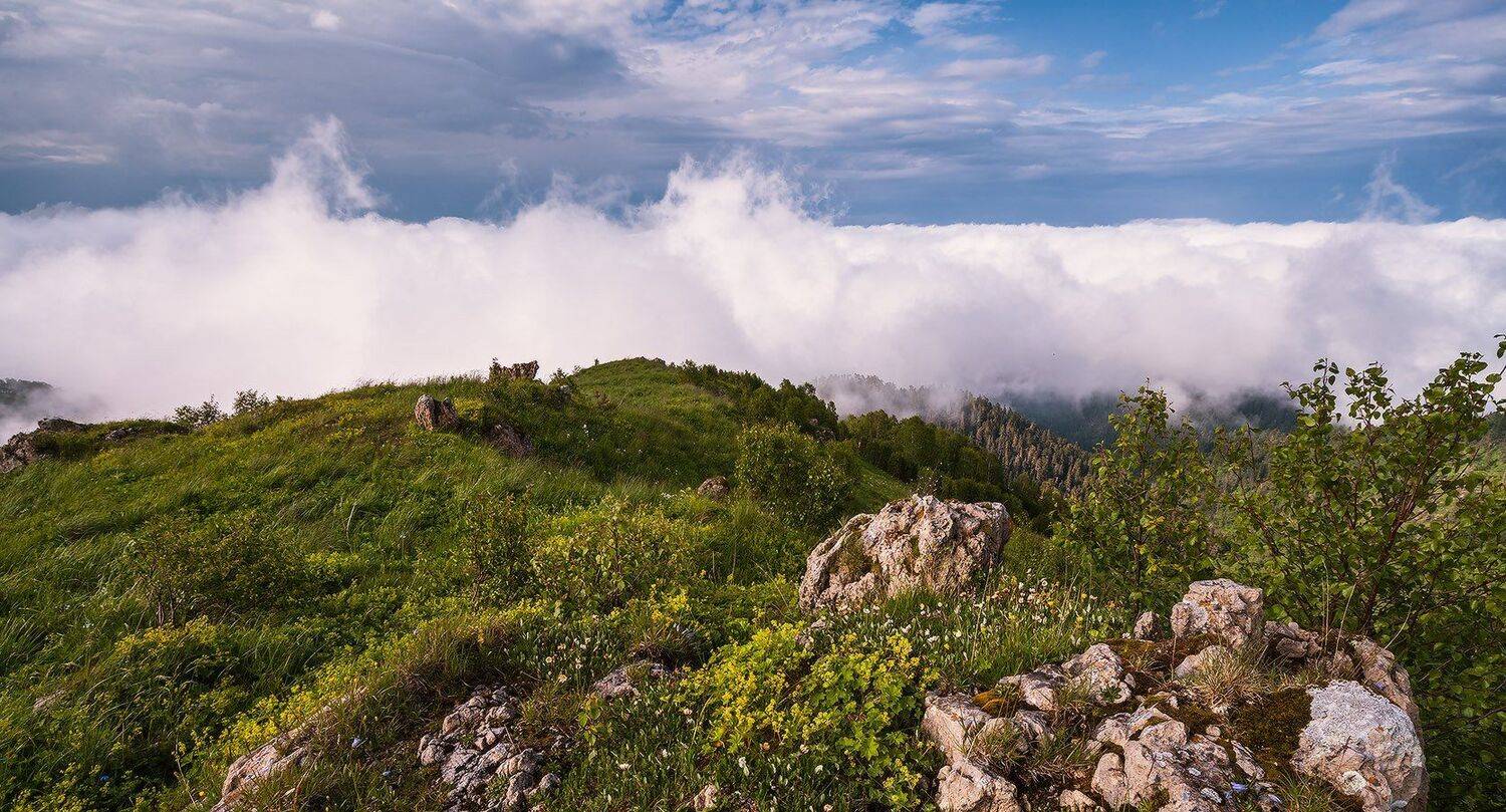 западный, кавказ, малый, бабук, лето, июнь, покрывало, Николай Мысливцев