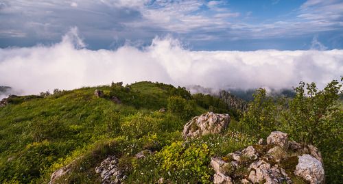 Вот вот накроет белым покрывалом