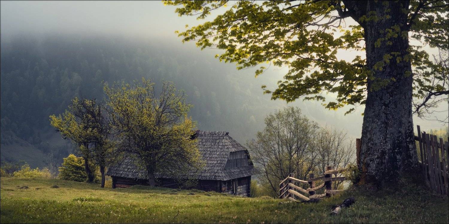 , Влад Соколовский