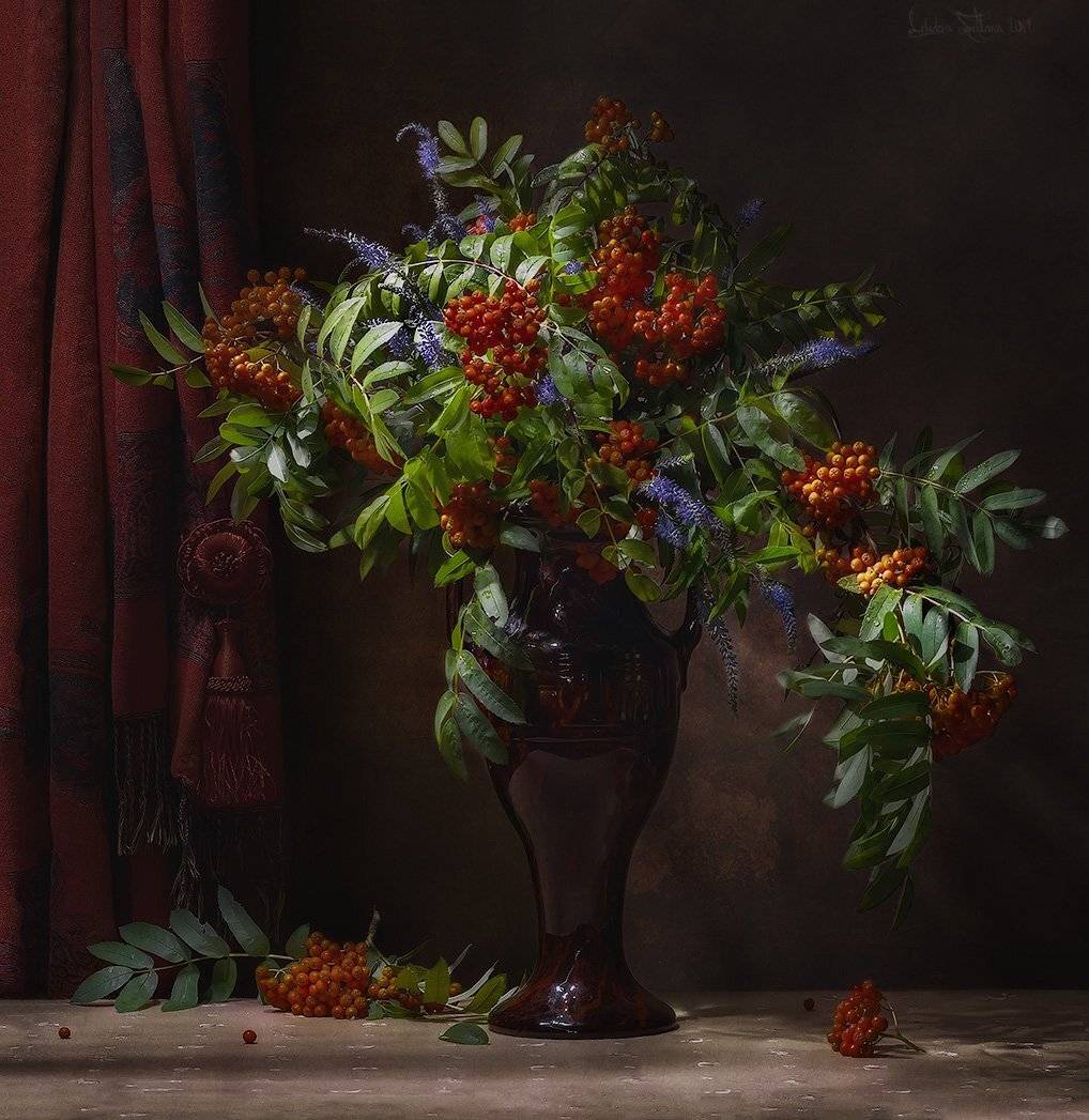 Рябина, Светлана Л.