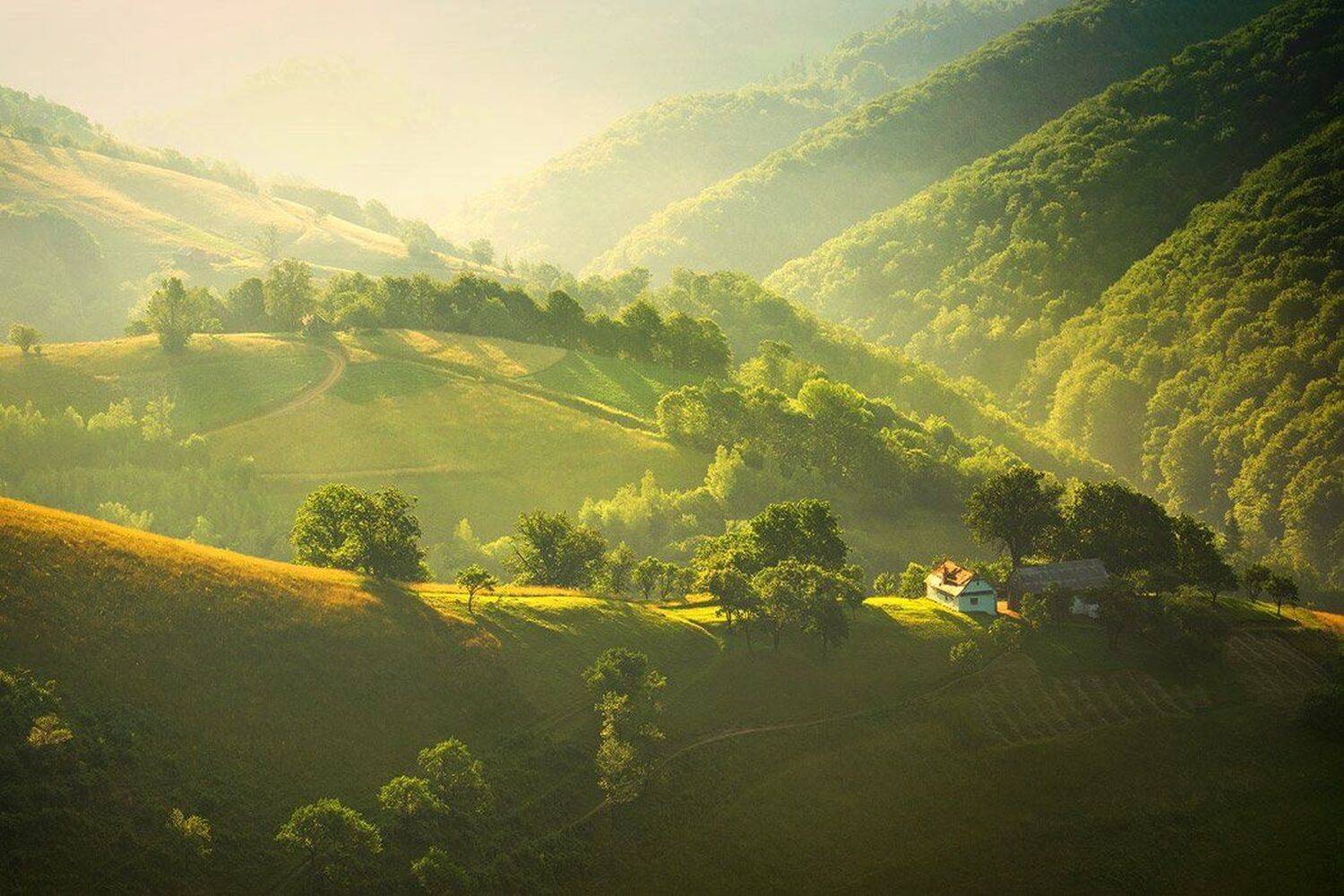 , Stefan Chirobocea