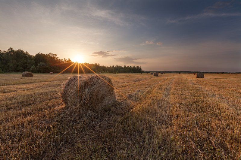 Сенные заготовки фото превью