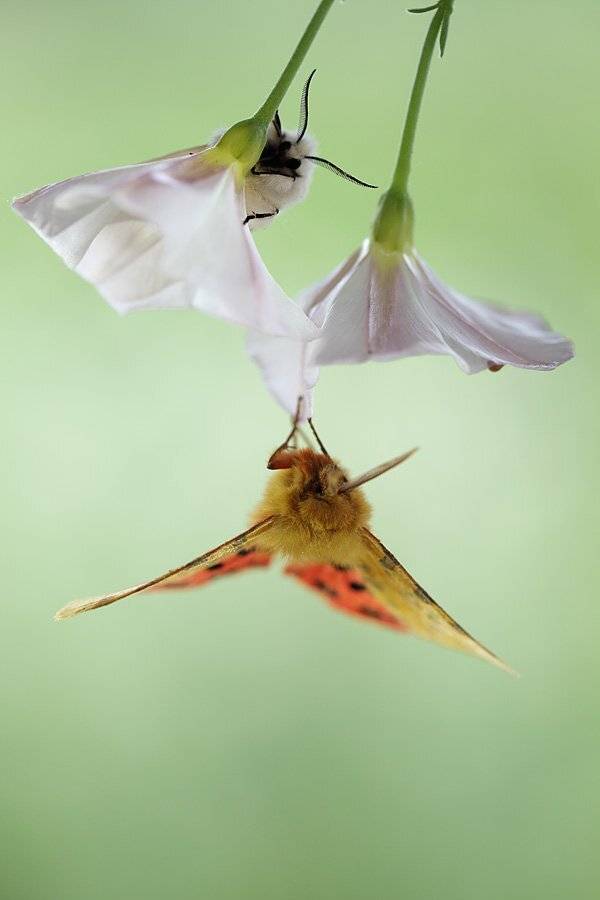 , Сергей Таланов