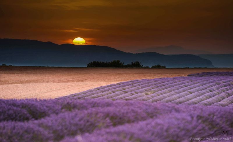 Polje фото превью