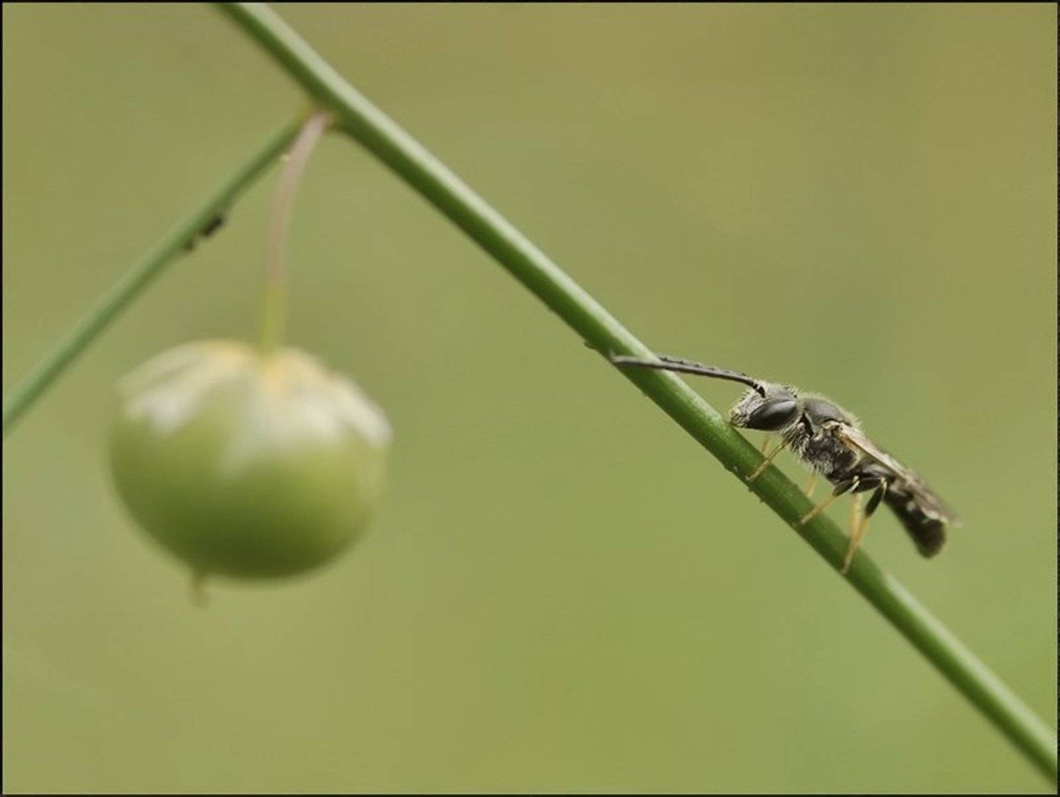 , Андрей Осокин
