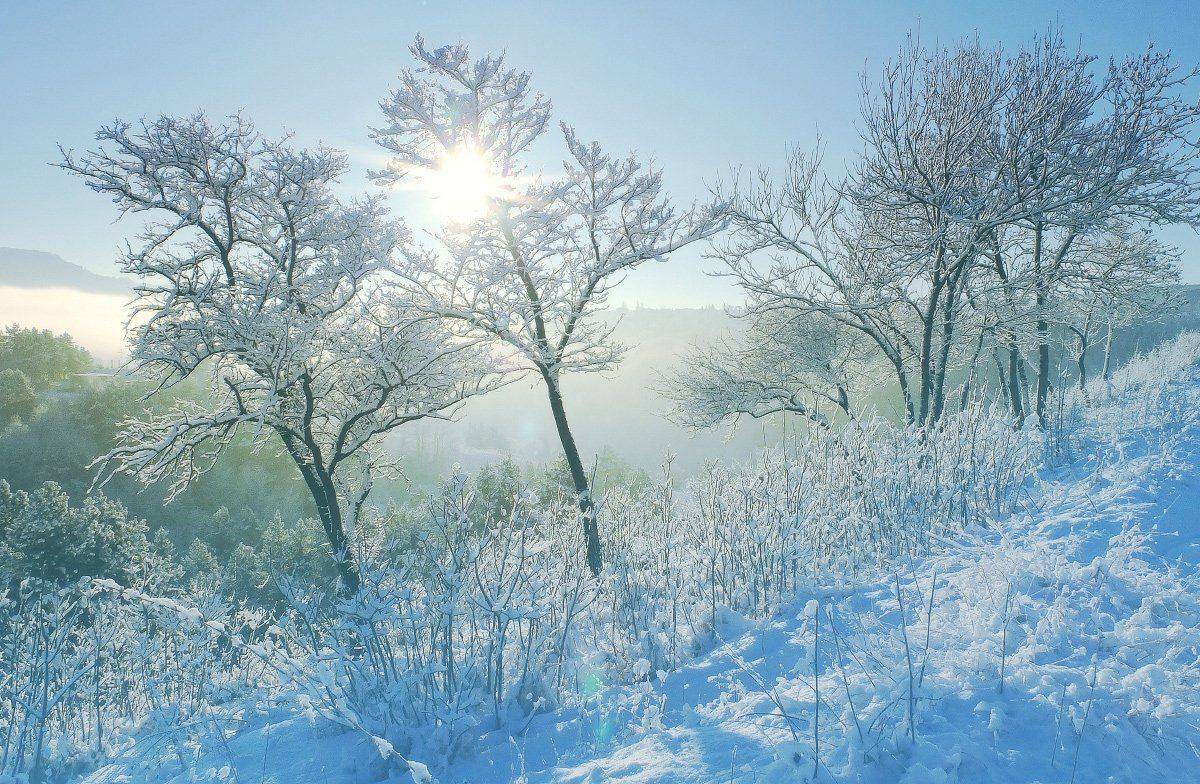 , Михаил  Пилипенко