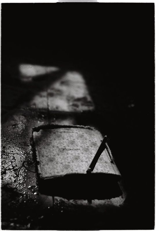 The lost Diary фото превью