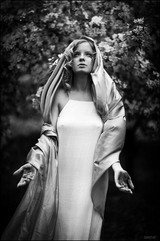 Венок, Дева, Жара, Лето, Мария, Яблони *** фото превью