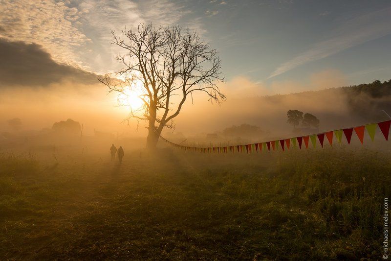 Дерево, Калуга, Люди, Россия, Туман, Фестиваль Доброе утро фото превью