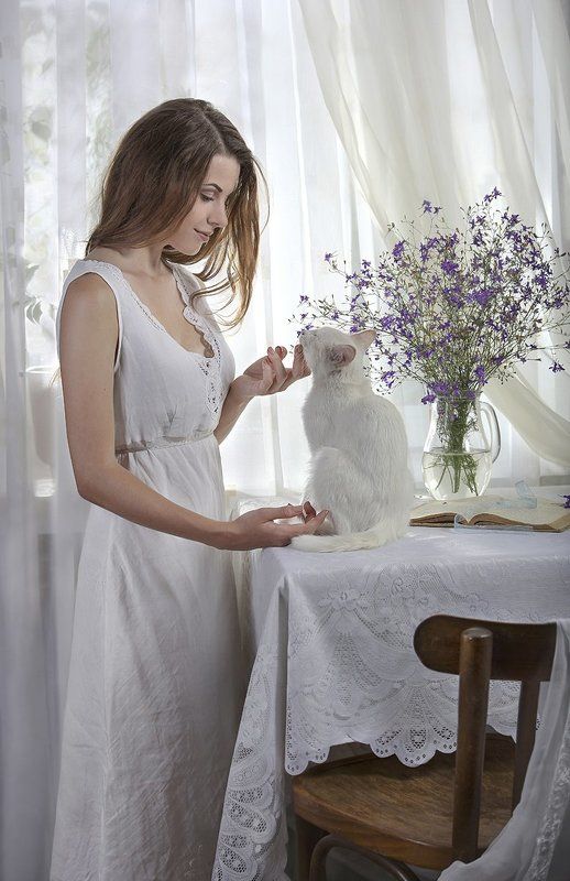 Белое утро с белым котом фото превью