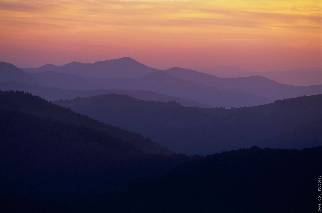 , Ярослав Тюрменко (Jaremi)