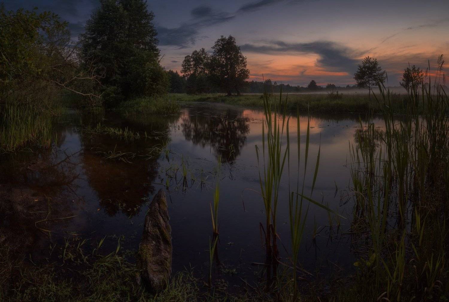 , Михаил Кушнер