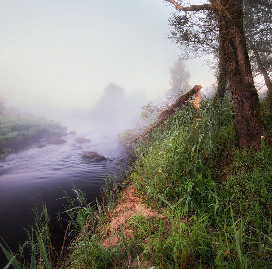 , Кокотков Михаил