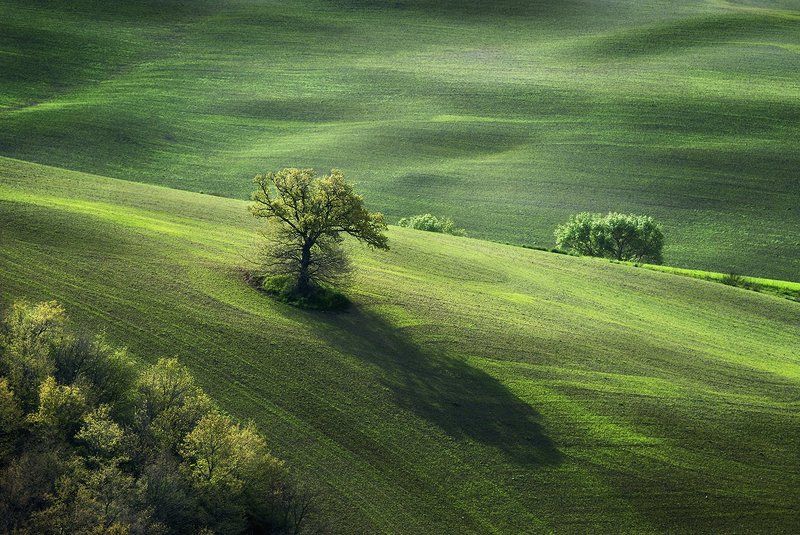 Pastorale in green фото превью