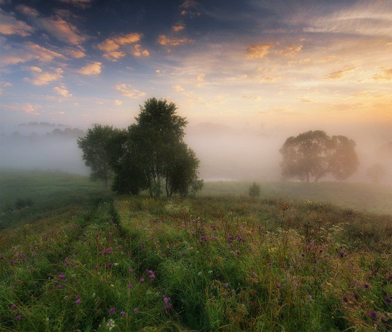 Туманами. фото превью