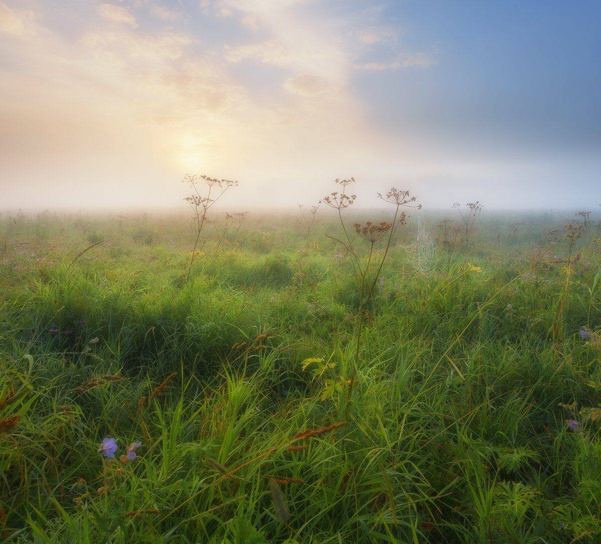 , Кокотков Михаил