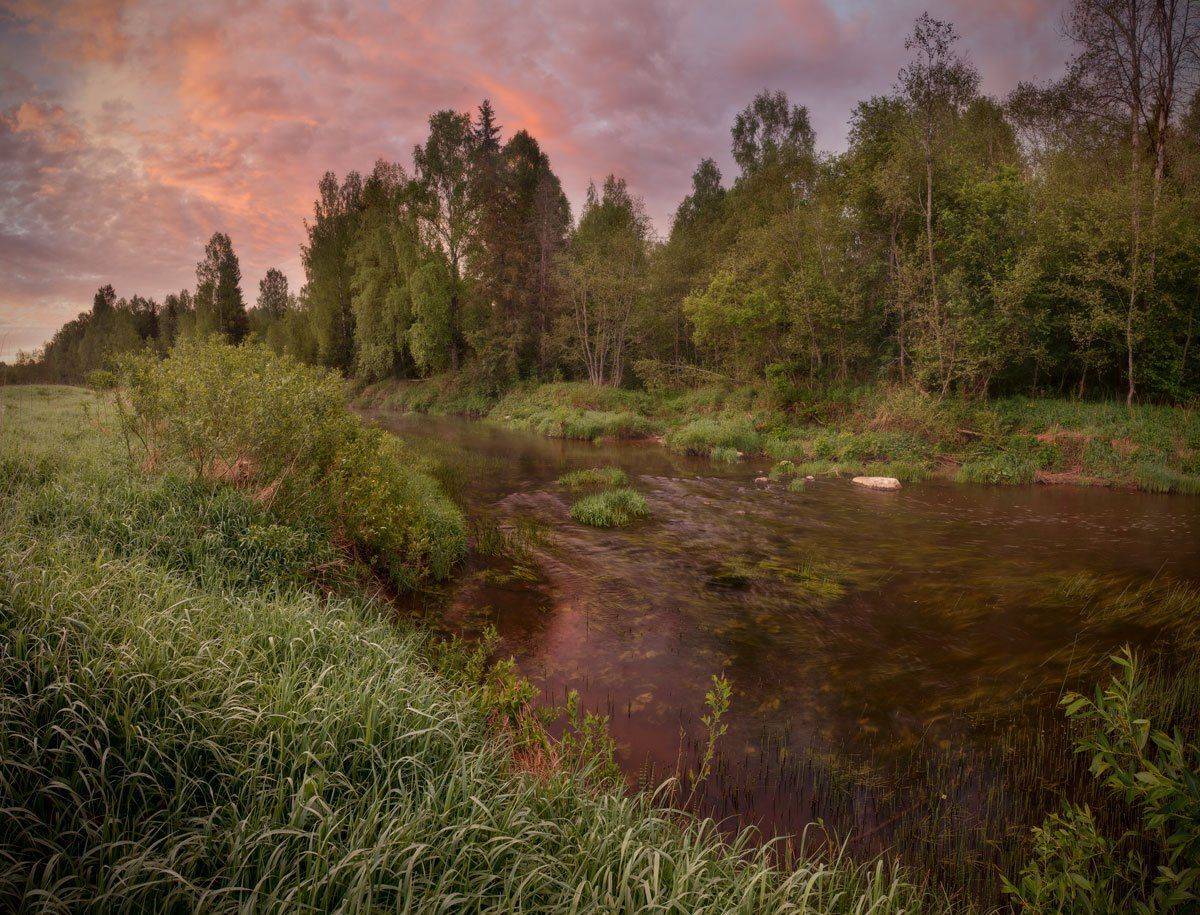 , Хохряков Николай
