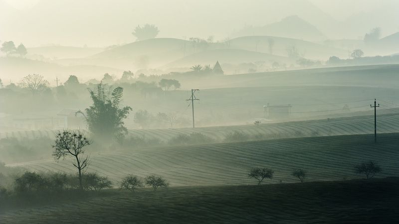 Ban mai Mộc Châu фото превью