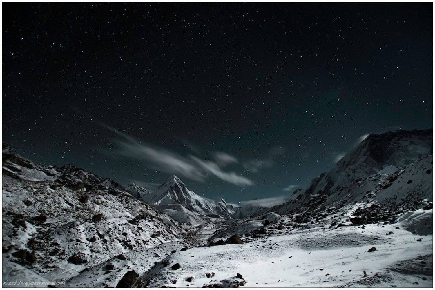 , Алексей Низовцев