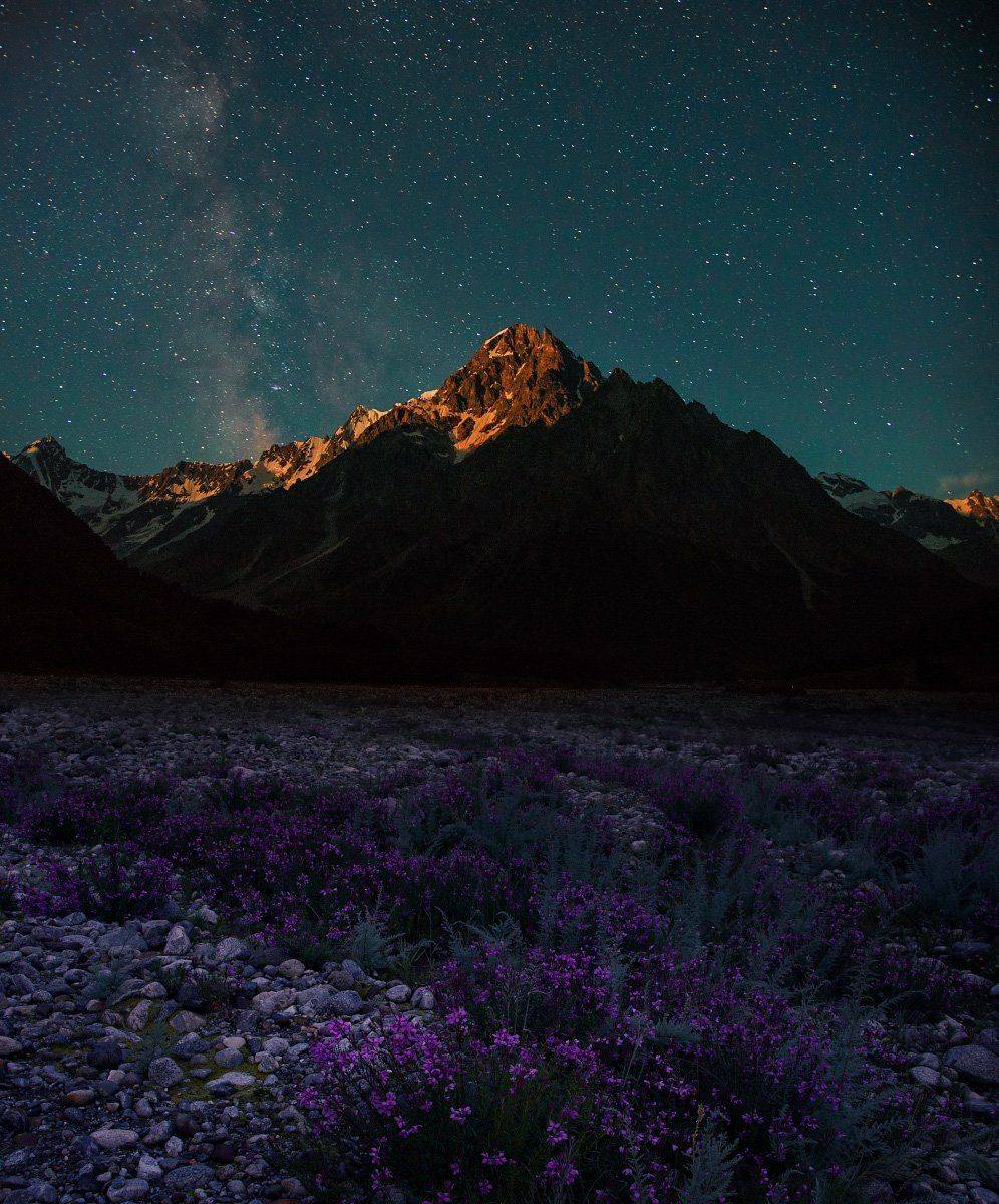 , Елена Брежицкая