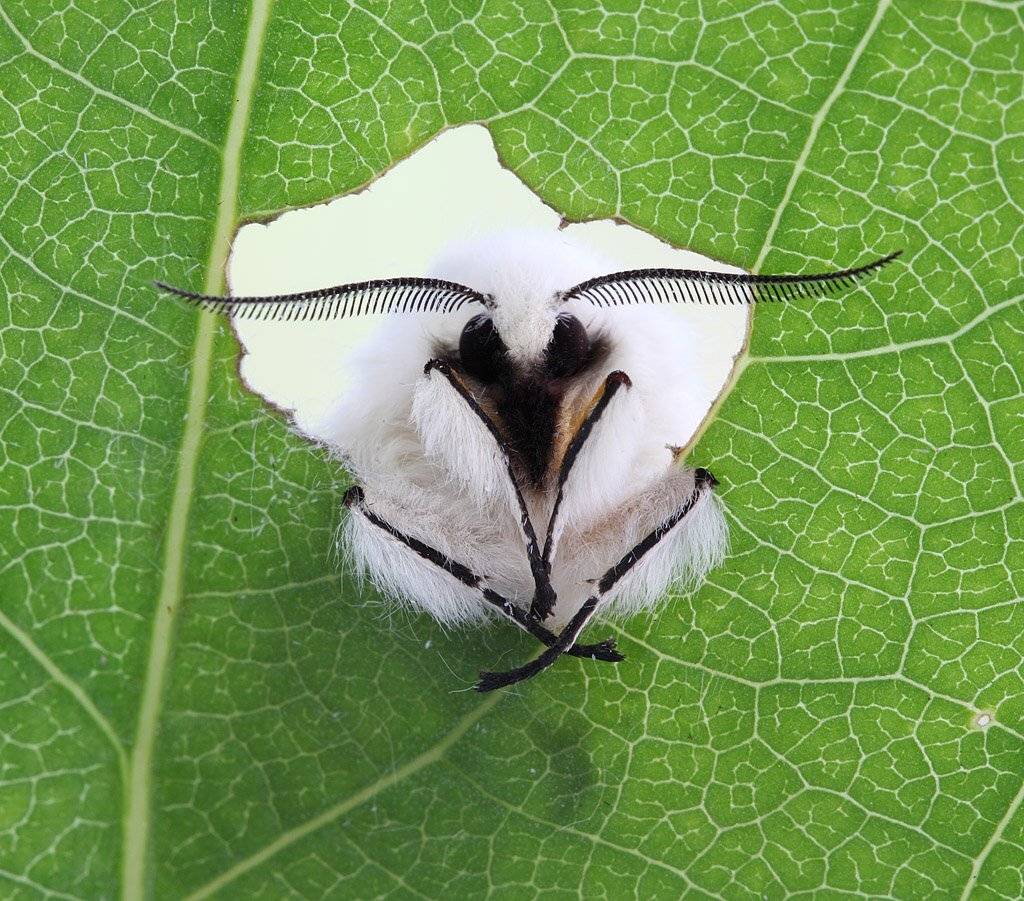 , Сергей Таланов