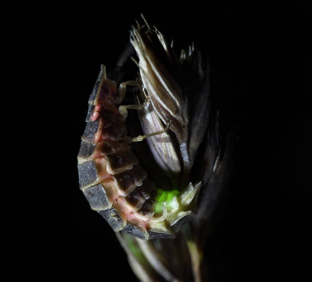 , Сергей Таланов