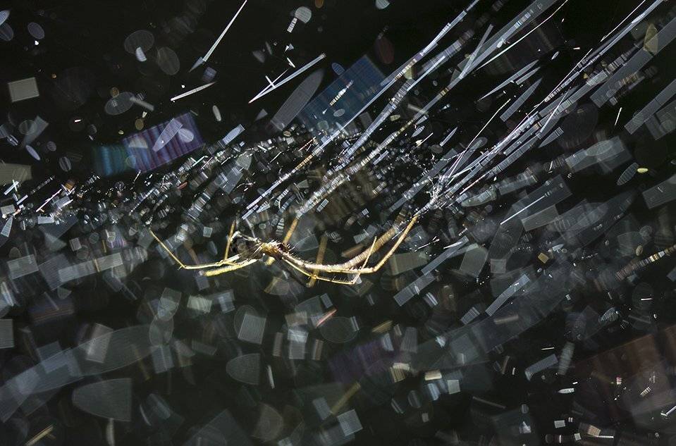 , Иваненко Светлана