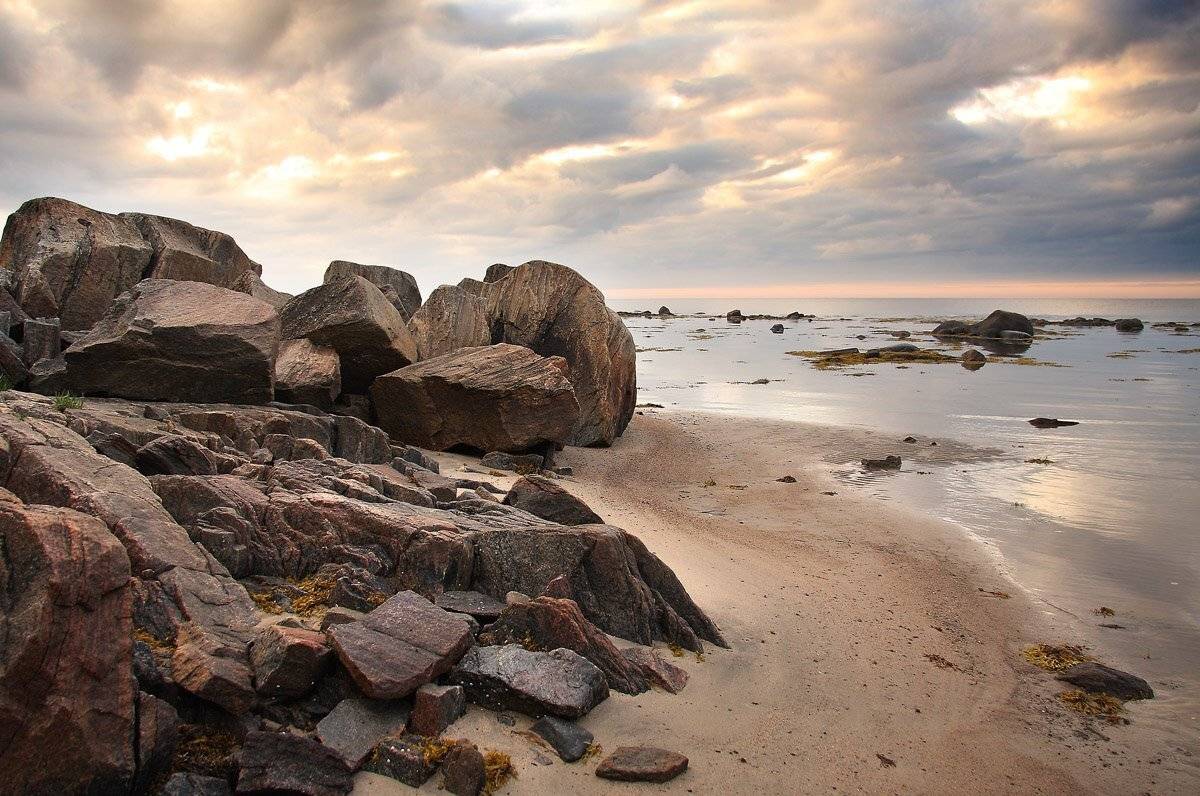 , Александр Коротков