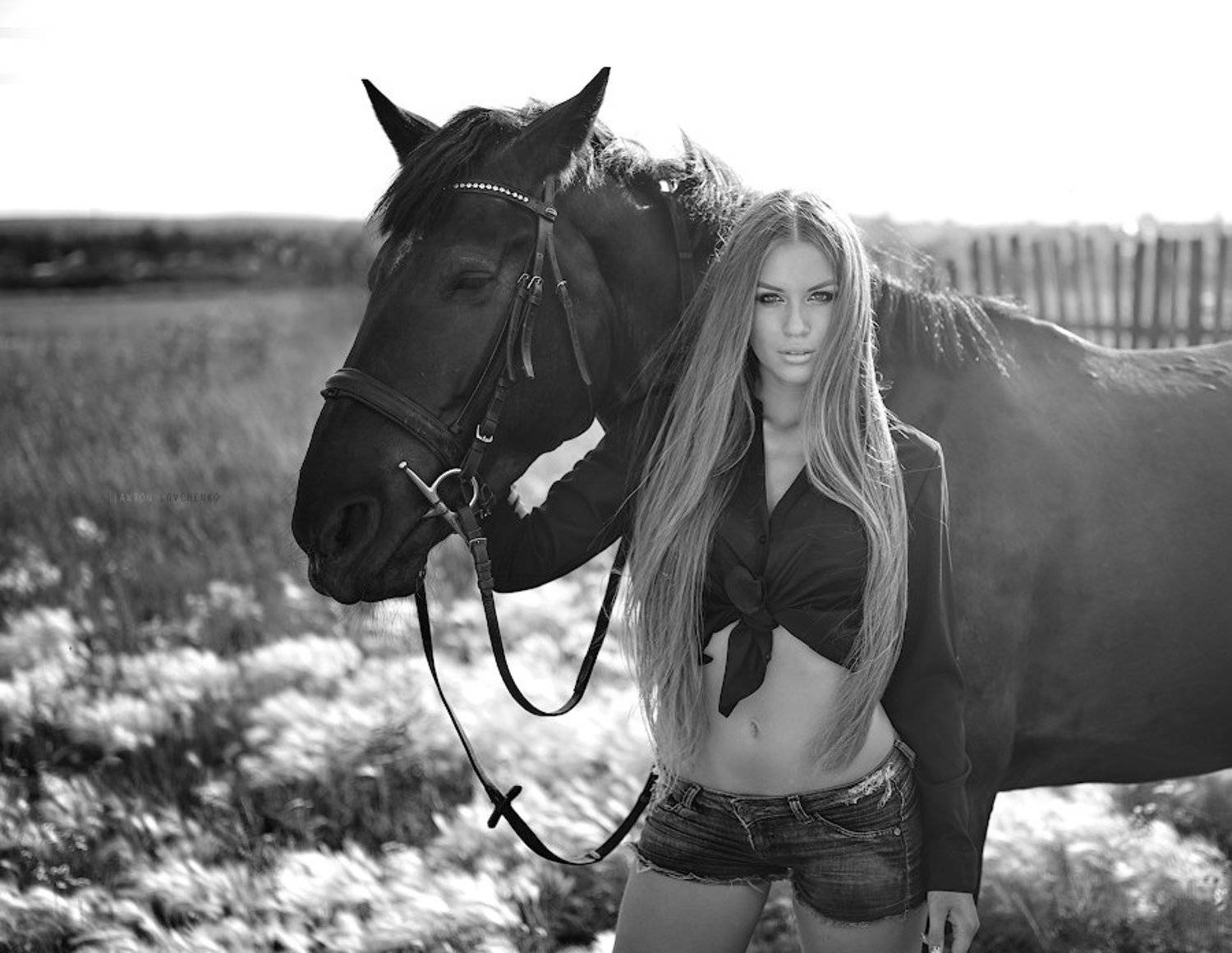 , Anton Montbrillant