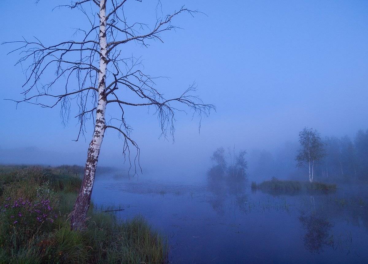 , Владимир Перепечаев