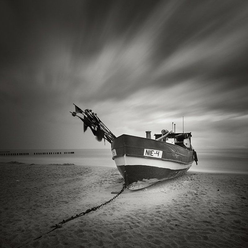 heartwood фото превью