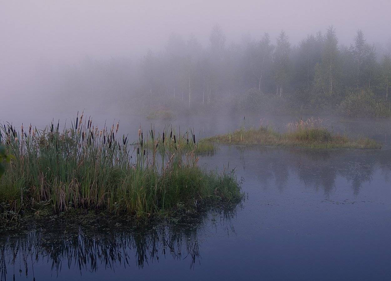 , Марина Брыдня