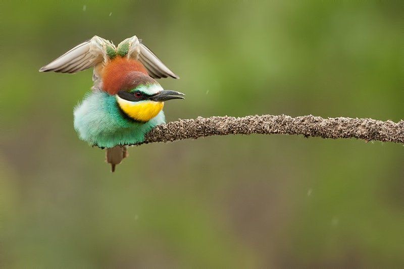 С  зонтиком фото превью