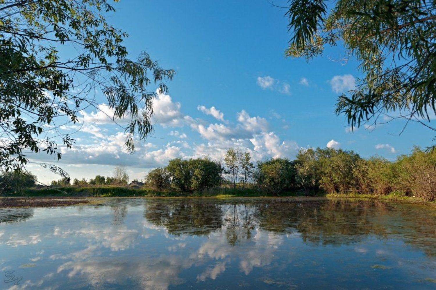 , Виктор Бут