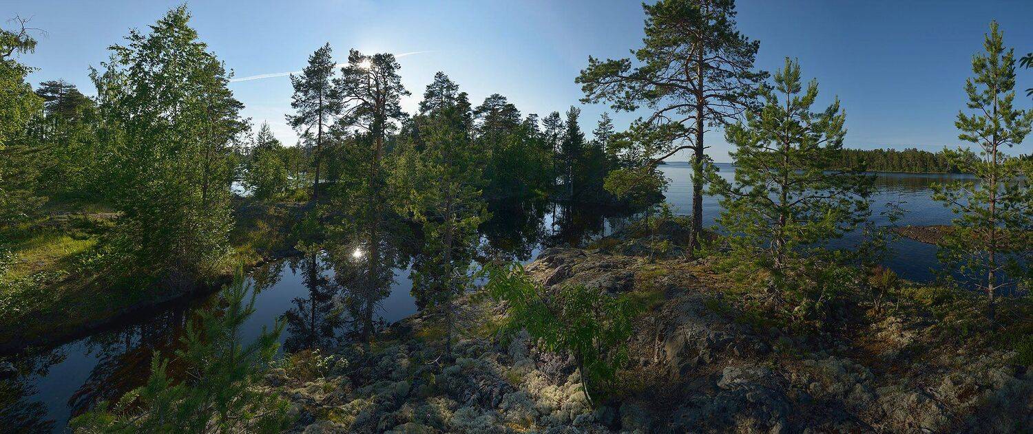 , Сергей Седов