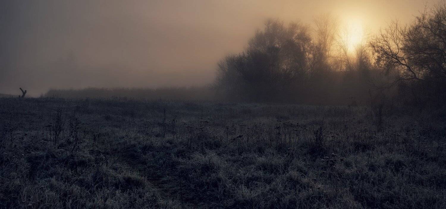 , Игорь Мелекесцев