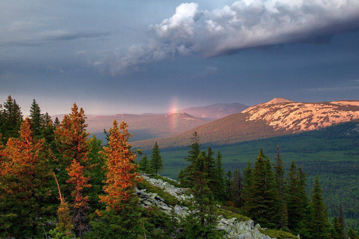 , Сергей Евдокимов