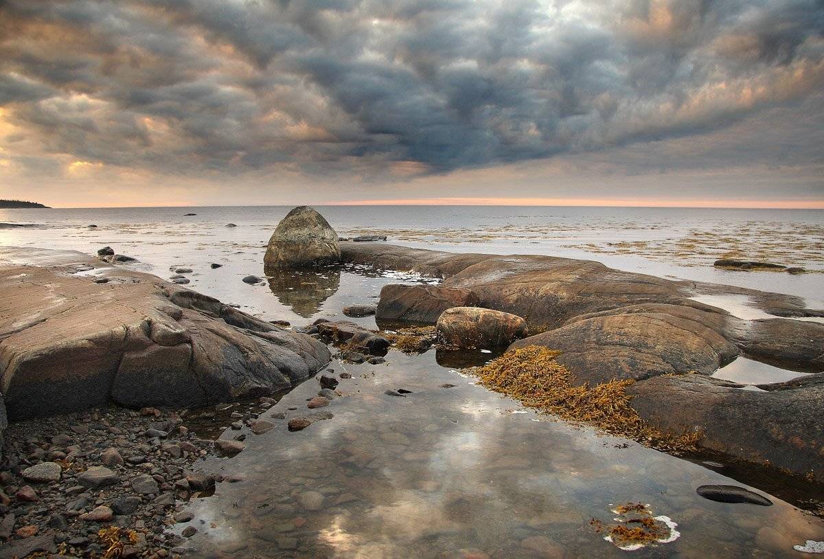 , Александр Коротков