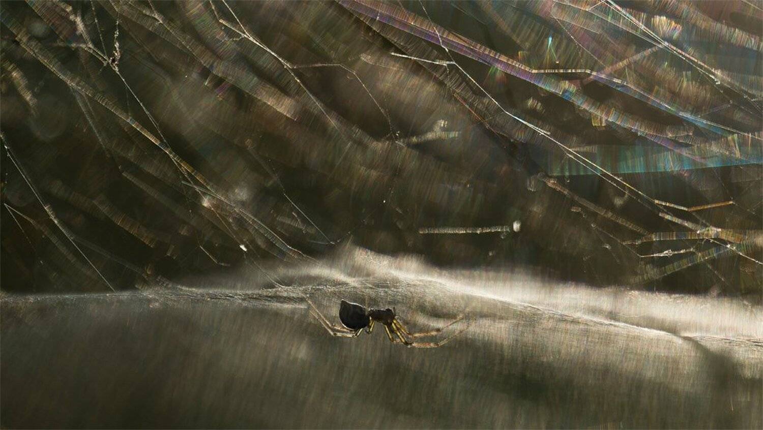 , Геннадий Мещеряков