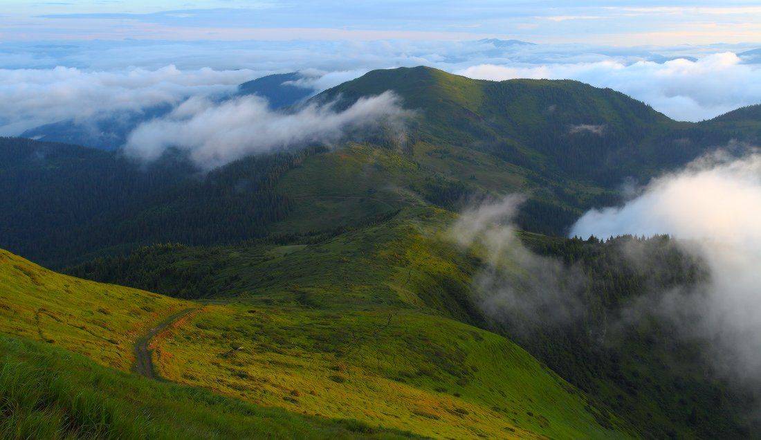 , Ярослав Тюрменко (Jaremi)