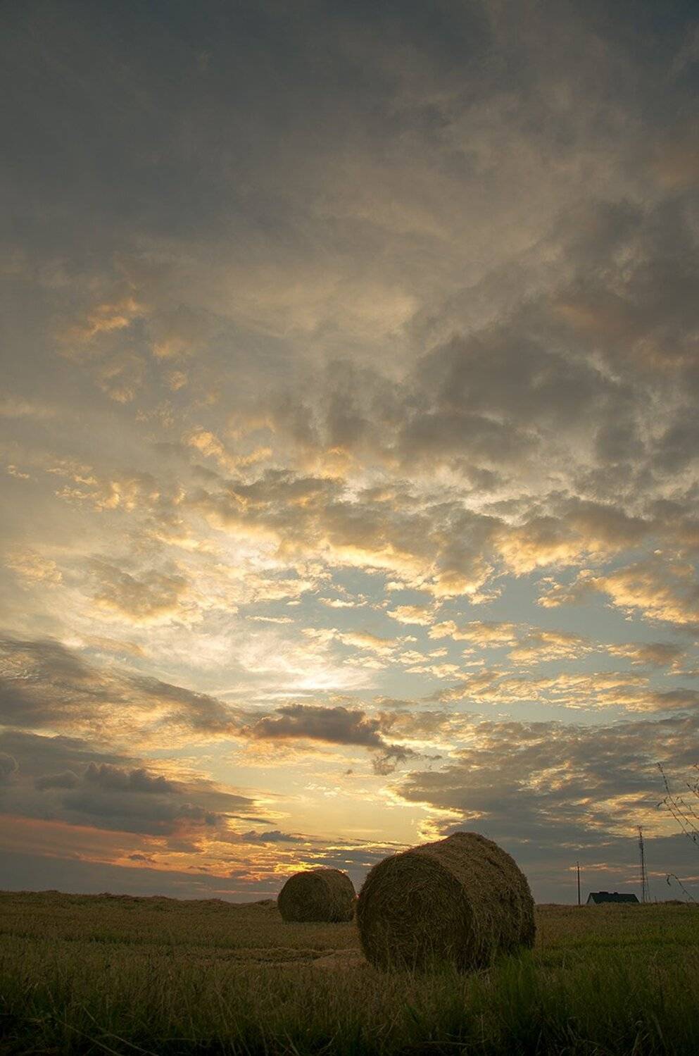 , Павел Нагорный