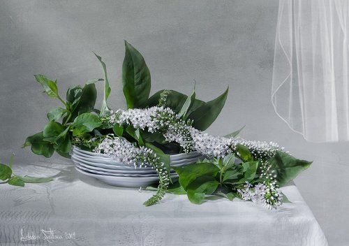 Бело-зелёное