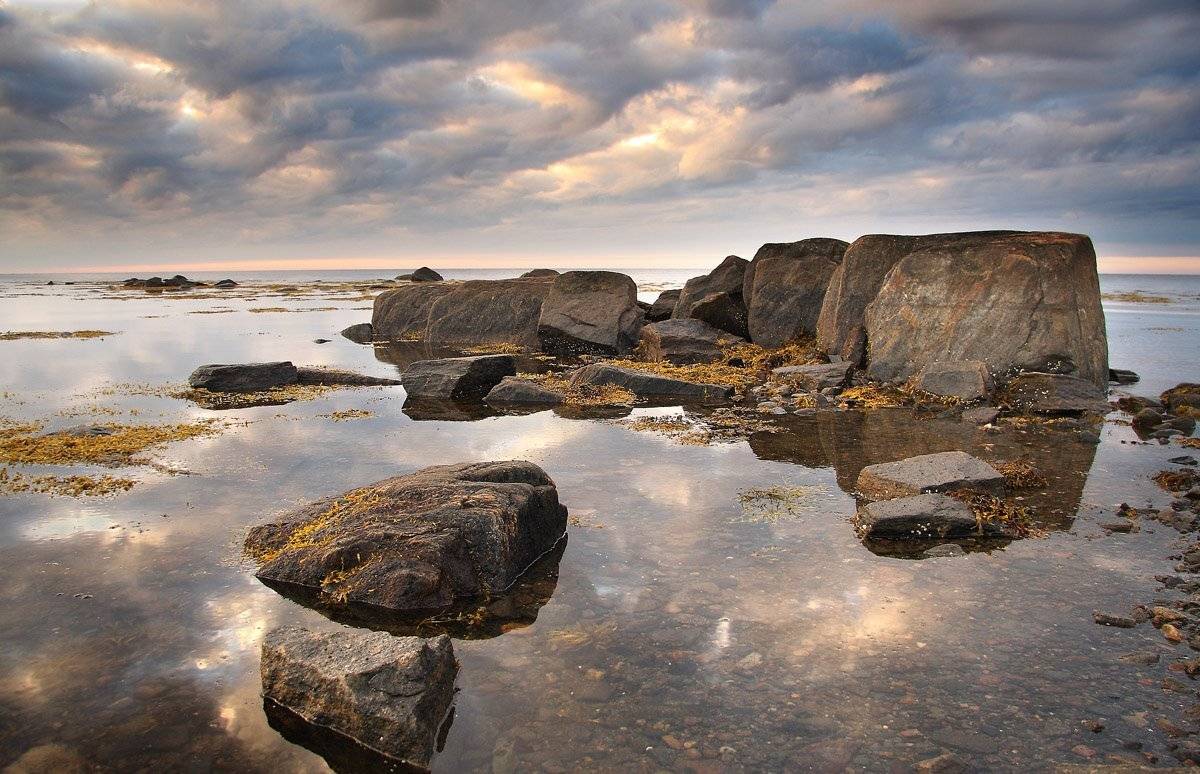 , Александр Коротков