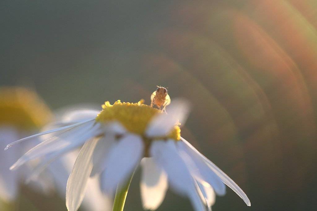 , Сергей Таланов
