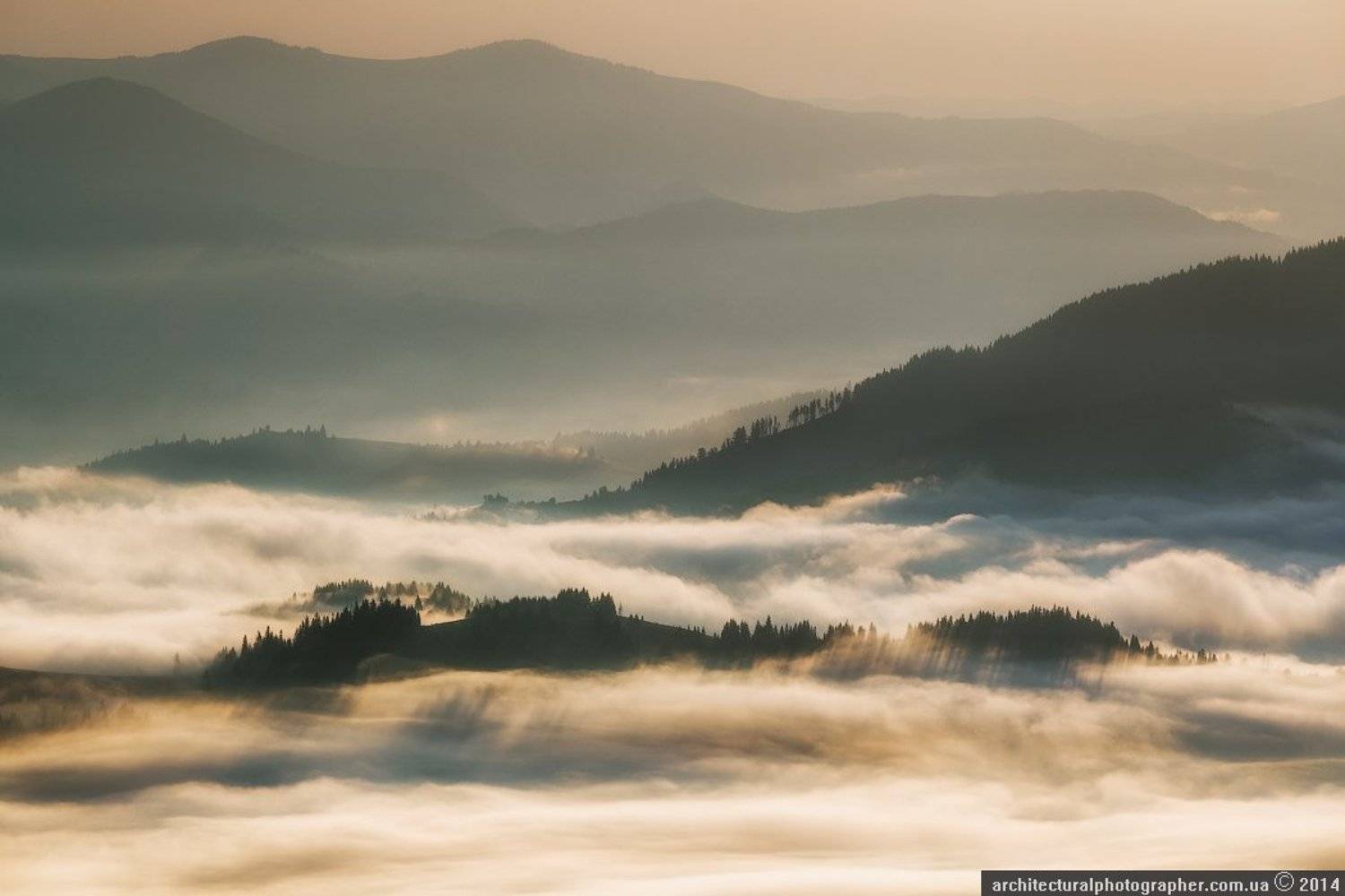 карпаты,	пейзаж,	рассвет, туман,	украина,	утро, дземброня,	вухатый камень, Александр