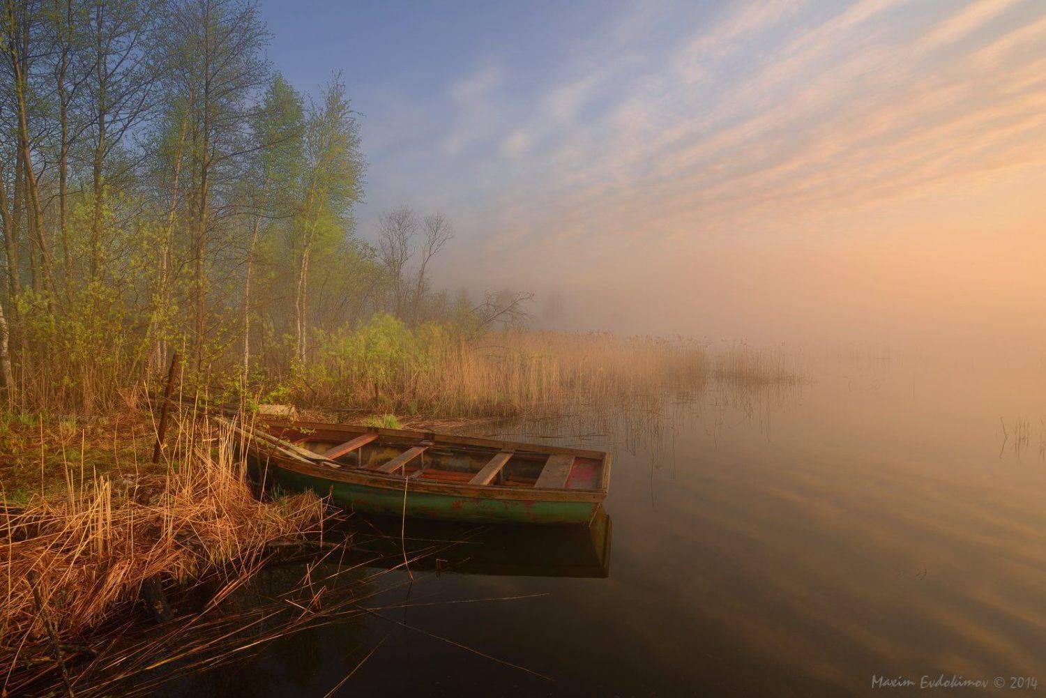 , Максим Евдокимов