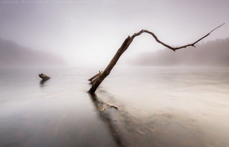 Fog, Jakub przybyla, Lake Bough фото превью