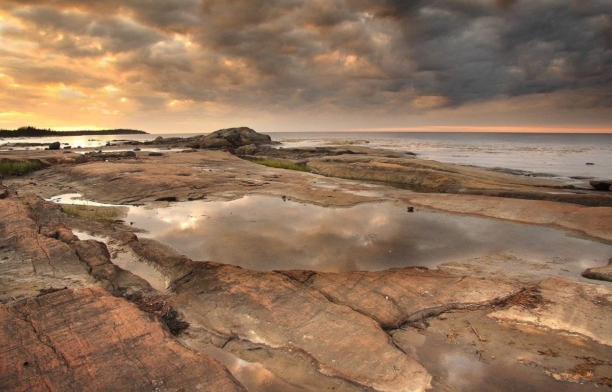 , Александр Коротков